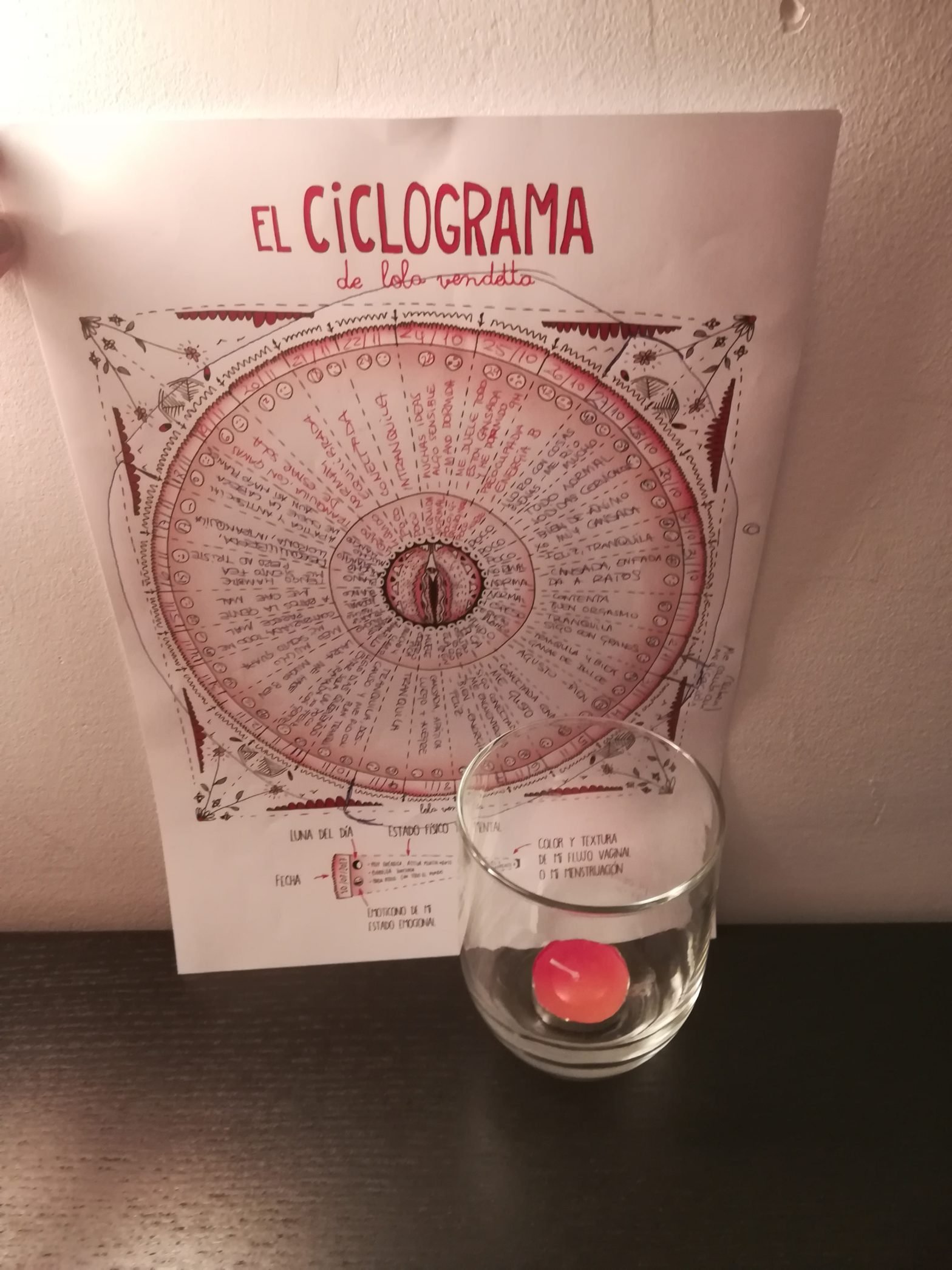 Todos somos cíclicos